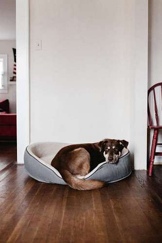 reclining 