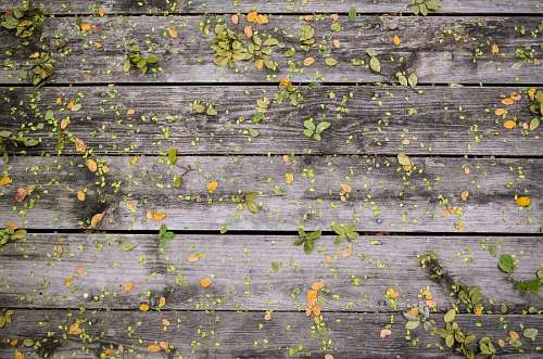 creator Wood Background