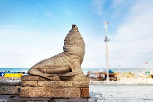 viewpoint Sea Lion Statue in Mar Del Plata, Argentina