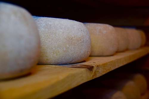 mold  Parmesan cheese
