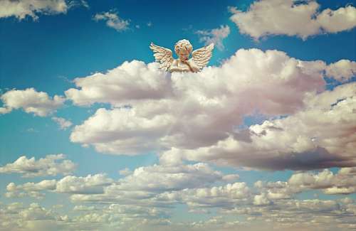Angel