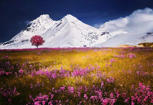 switzerland Alps