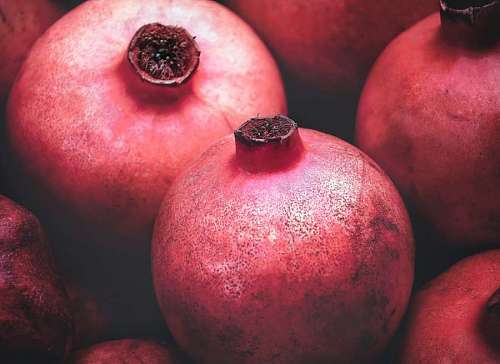 deciduous Pomegranate or Pomegranate Fruit