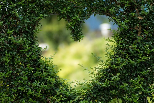 Love romantic images hd