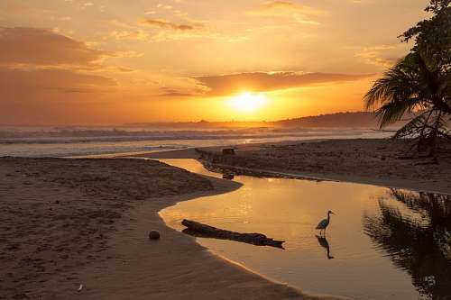 central-bank Panama sunset beach