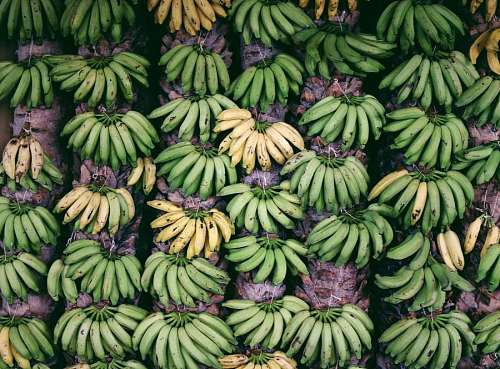 Bananas Background
