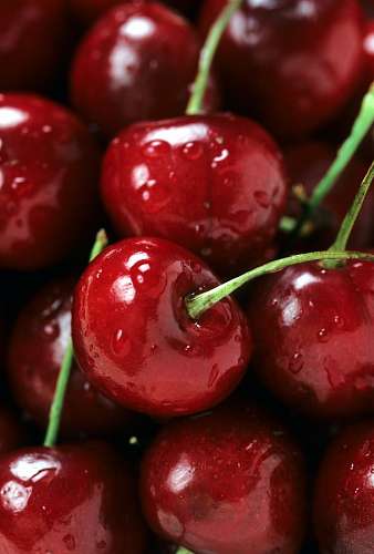 cherry cherry