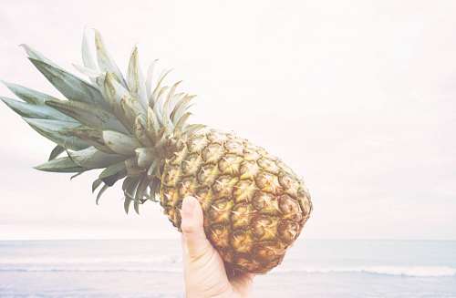 ananas Pineapple