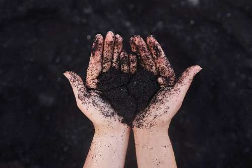 Woman's hands holding fresh compost