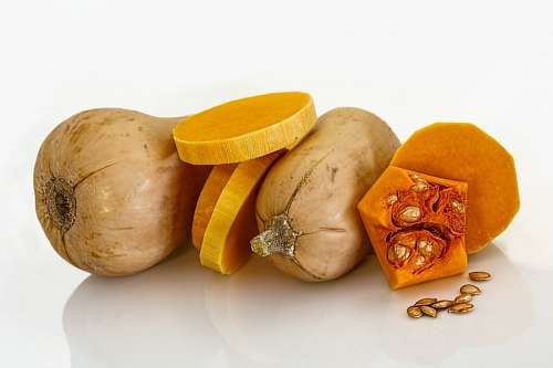 squash squash