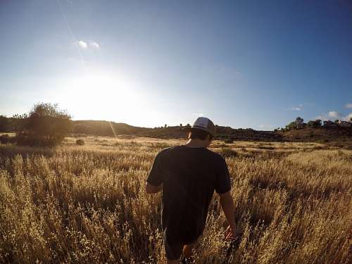 Young man in the field
