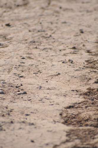 Texture, Textures, earth, dry, brittle, cracked, A