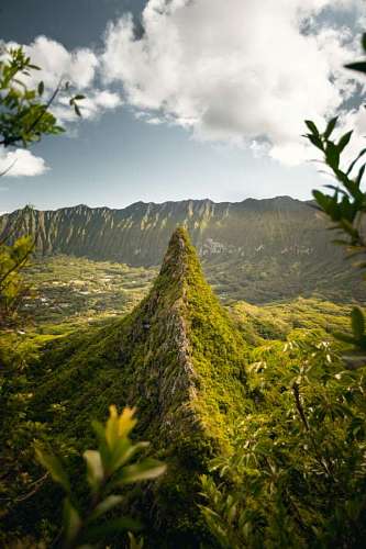Mountain and forest landscape in Hawaii