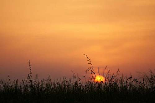 sunshine Sunset in a field