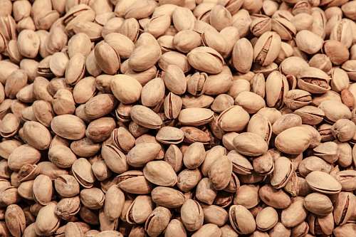 pistachios Pistachio