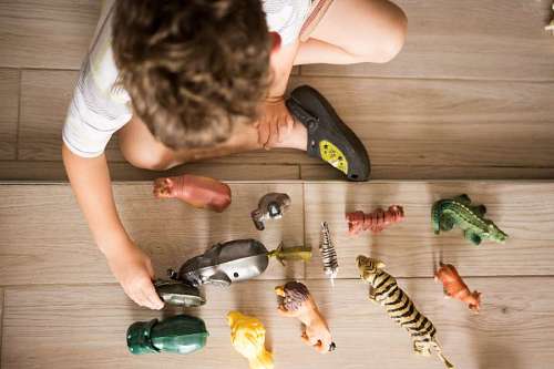 savings Boy playing with toy animals