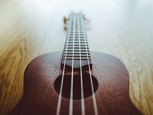 Guitar