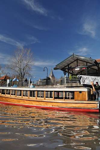 Tigre