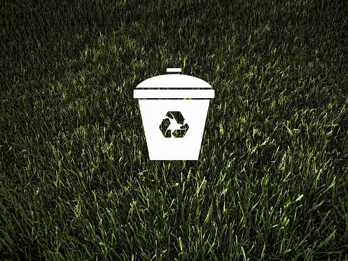  Ecology and Environment