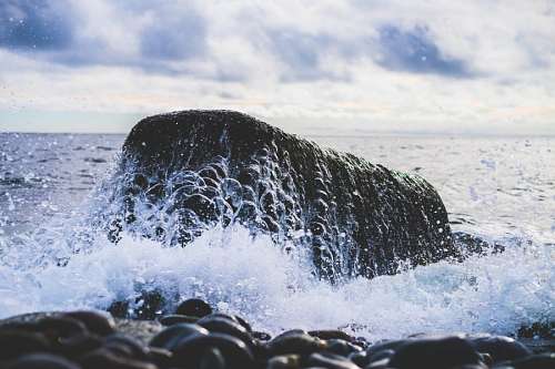 Sea coast