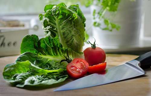 Salad