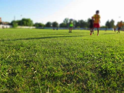 Soccer match