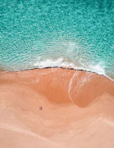 rice Tropical beach drone view