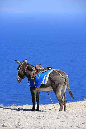 Greece