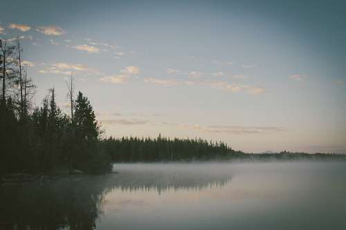 early-morning 