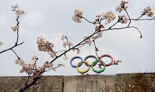 olympic-pool Olympic Rings