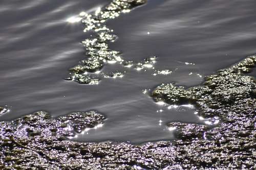 Texture, Textures, Water Reflection Lake 