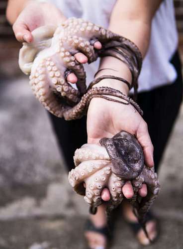 caught-with-your-pants-down Woman holding freshly caught octopus