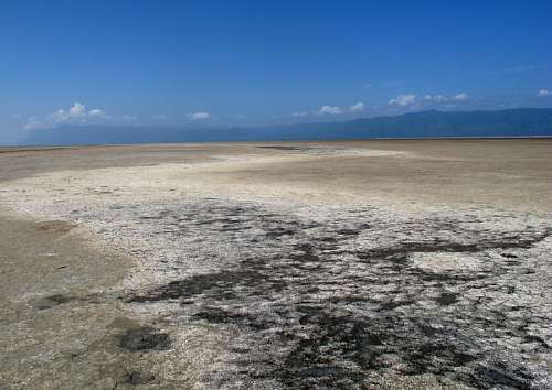 crack-cement-floor Desert