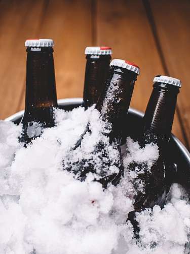 brewing beer bottles