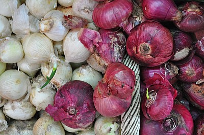 verduleria 
