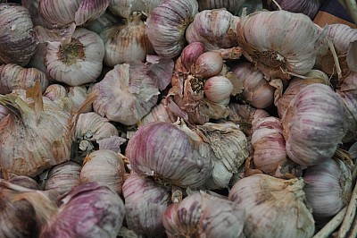 verduleria 