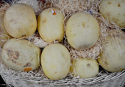 melon 
