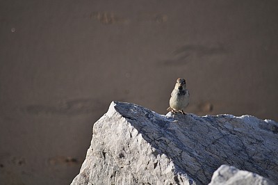 p052014 
