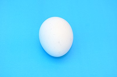 White egg white background