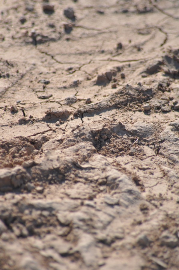 Texture, Textures, earth, dry, brittle, cracked, Arid, Land, Brown, Cracked, Arid Landscape, Backgrounds, Drought 