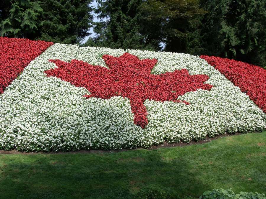Flag, Canada, Country, North America, North, Symbol, Nation, State, Nobody, Republic, outdoors, square, park, spring, flowers, blossom, 