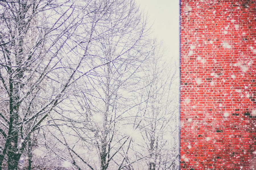 wall, bricks, winter, red, brick, architecture, wall, tree, snow, snow, nobody, brick