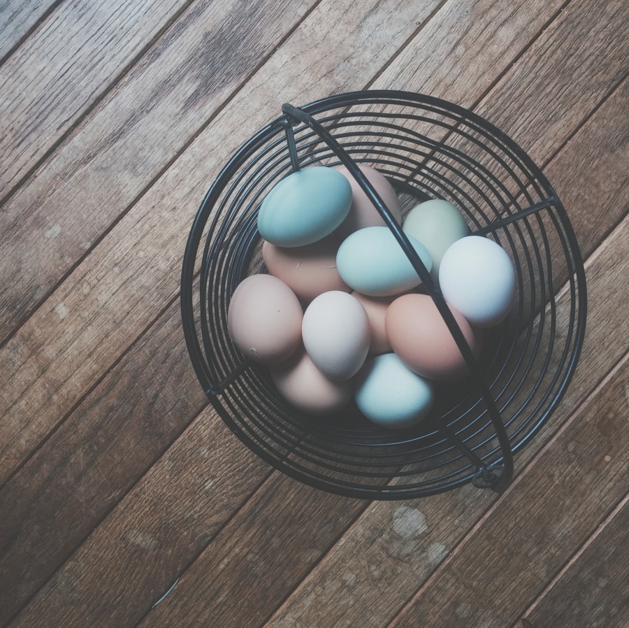 egg, eggs, basket, easter, nobody, many, many,