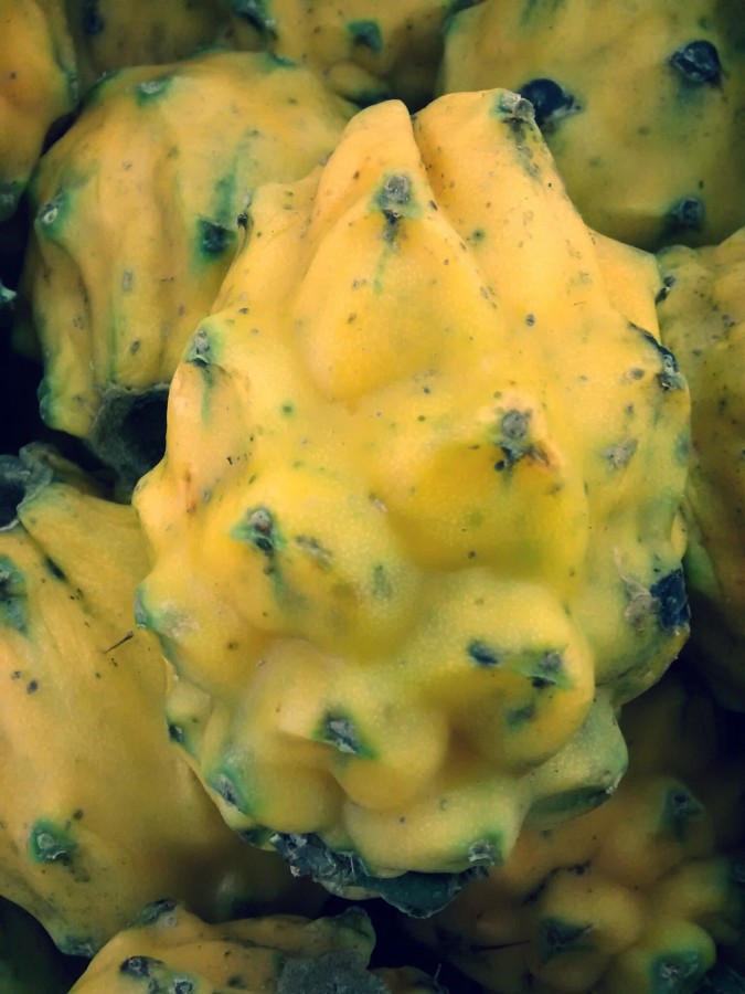 Dragon fruit, fruit, tropical, Ecuador, america, latino, latina,