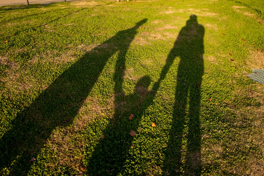 family, shadow, three, people, park, outdoors, outside, shadow, child, parent, walk,