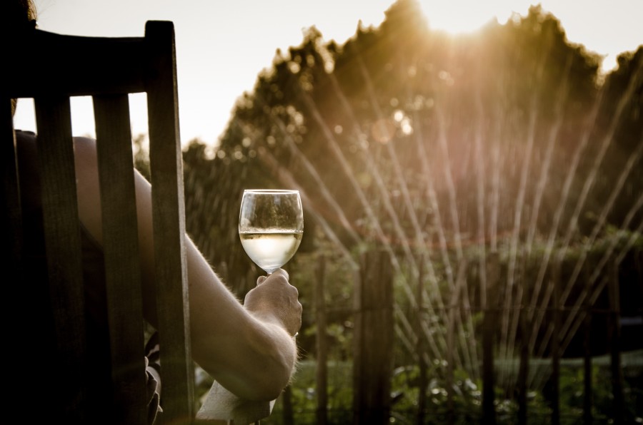 man, drink, wine, sunset, exterior, garden, irrigation, water, relax, drink, water, chair, one person, people, sitting, nature, tranquility, drink, home, 