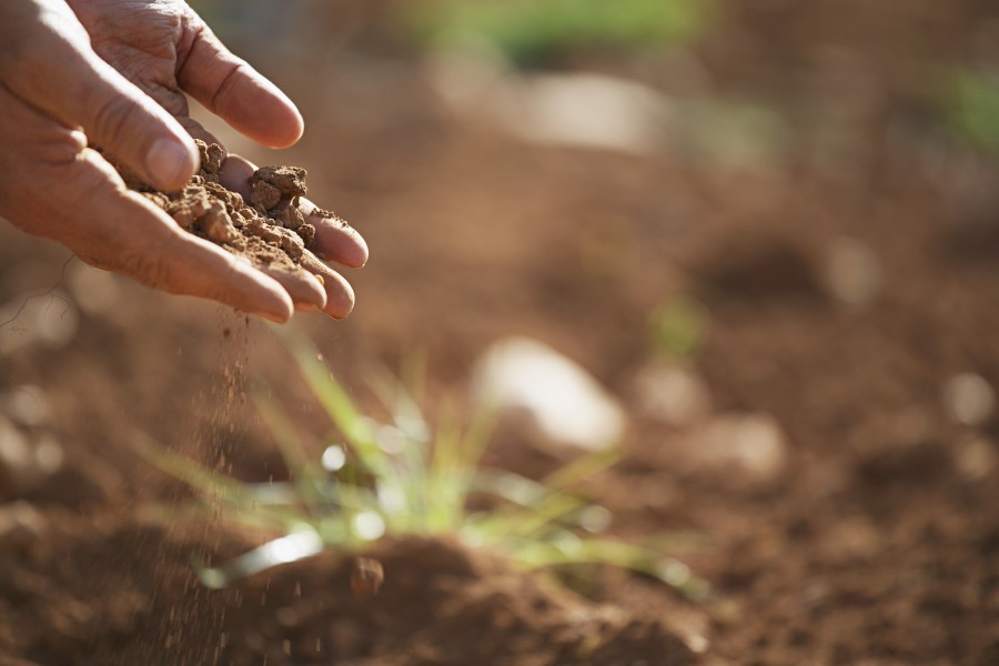 hand, earth, man, concept, farming, nature, Connection, soil, ground, field, rural, 