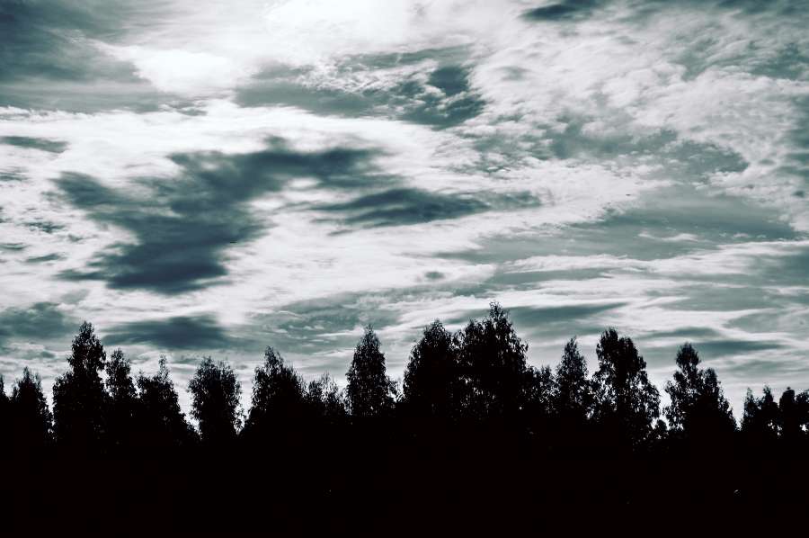 nature, tree, storm, sky, landscape, silhouette