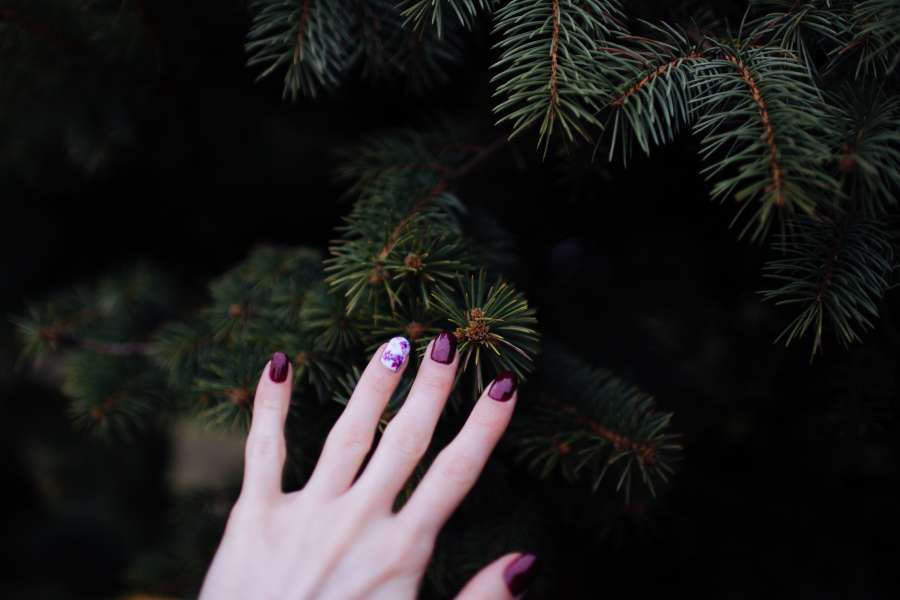 Hand, Tree, Purple, Nail, nails, Woman, Evergreen, Pine Tree, Finger Nail, Nailpolish, Manicure, Finger, enamel