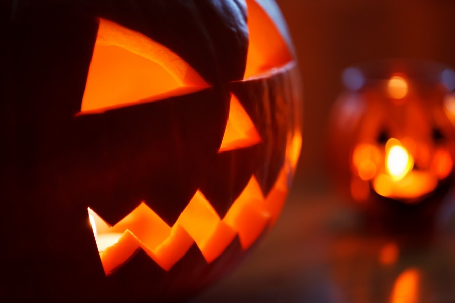 Halloween, pumpkin, horror, light, nobody, fear, illuminated,